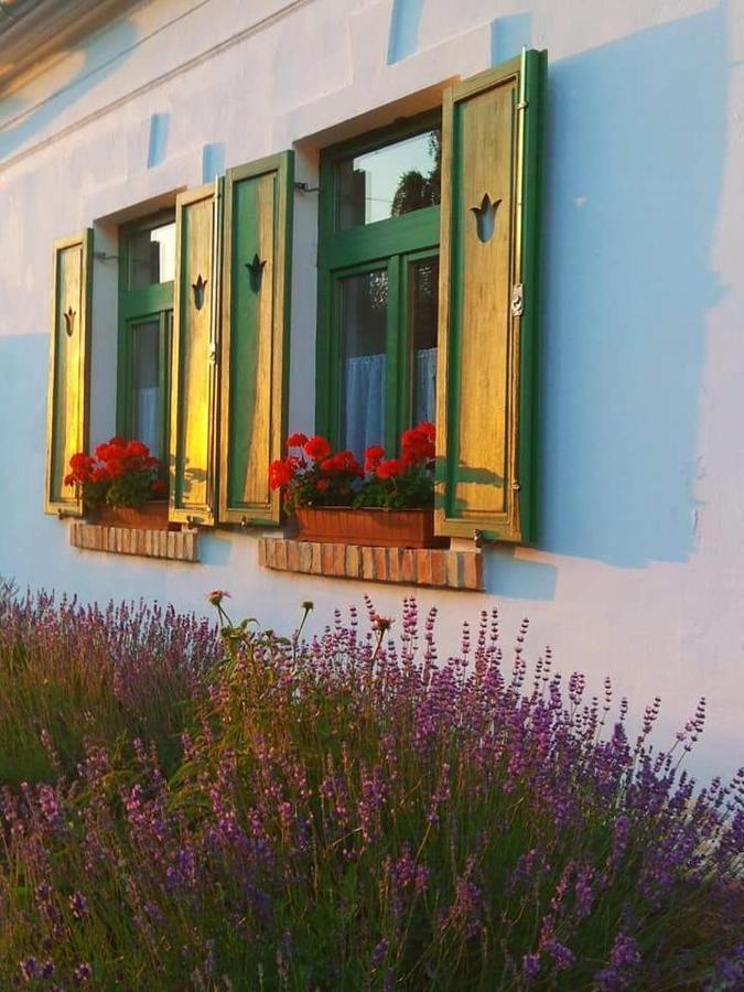 Egkoris Vendeghaz Hotell Bakonyszucs Eksteriør bilde